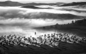 PhotoVivo Merit Award - Yongan Gan (China)Become An Immortal