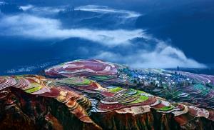 RPS Ribbons - Li Wan (China)Mountain Village