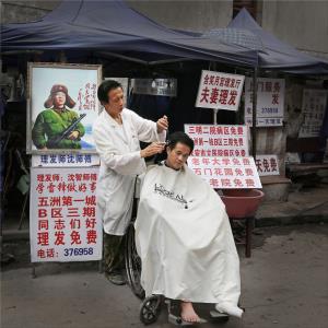 PSPC Merit Award - Qishu Lin (China)Living Lei Feng